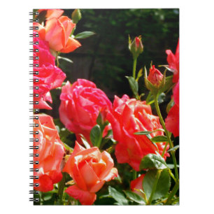 Carnet Élégant rose à fleurs rose oranger