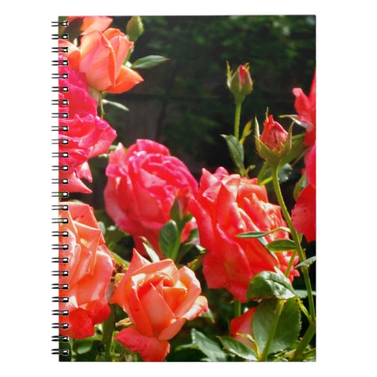 Carnet Élégant rose à fleurs rose oranger (Devant)