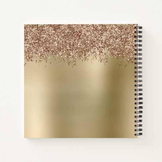 Carnet Elégant rose or parties scintillant maquillage & c (Dos)