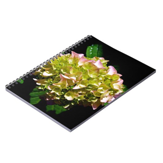 Carnet Elégant vert doux vert rose vert vert hydrangée (Côté gauche)