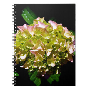 Carnet Elégant vert doux vert rose vert vert hydrangée
