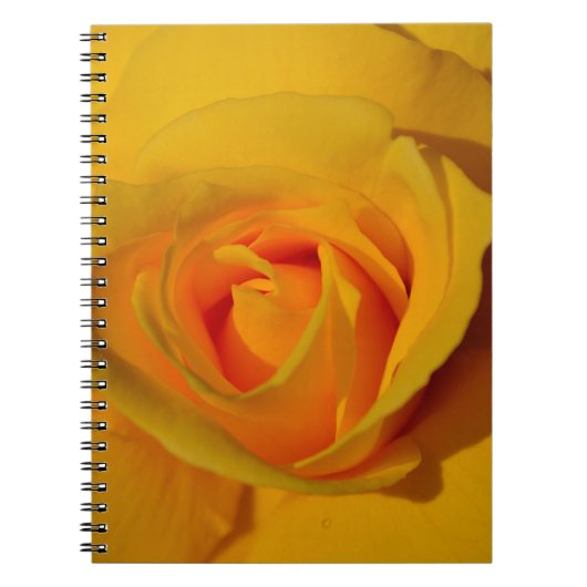 Carnet Élégante fleur florale Rose jaune (Devant)