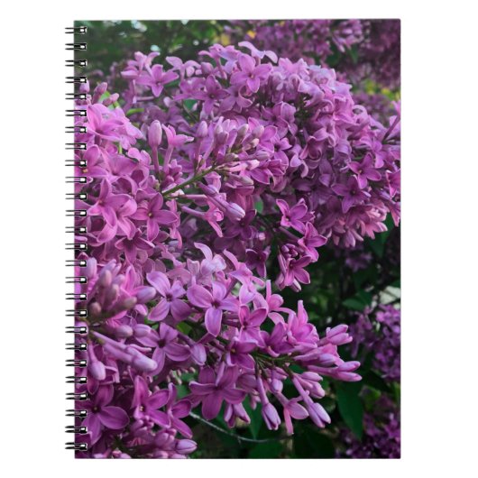 Carnet Élégante floraison de magenta violet profond fleur (Devant)
