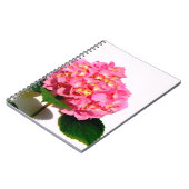 Carnet Elégante hydrangée rose fleurie rose (Côté gauche)