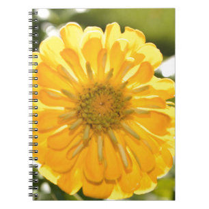 Carnet Élégante marguerite fleurie jaune
