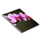 Carnet Élégante orchidée rose fleurie tropicale (Côté Droit)