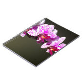 Carnet Élégante orchidée rose fleurie tropicale (Côté gauche)