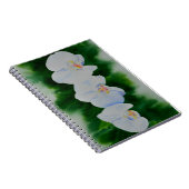 Carnet Elégante peinture d'orchidée tropicale blanche (Côté Droit)