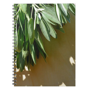 Carnet Elégante plante verte feuille sauge