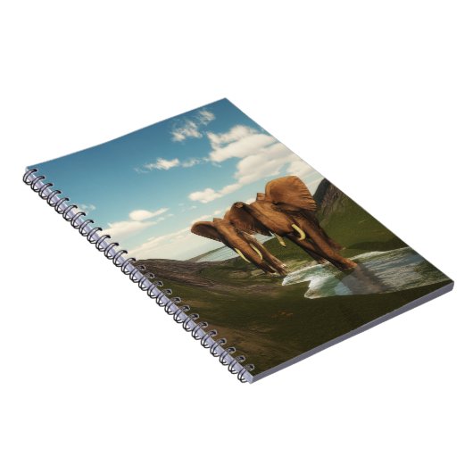 Carnet Eléphant (Côté Droit)