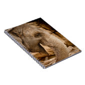 CARNET ÉLÉPHANT (Côté Droit)