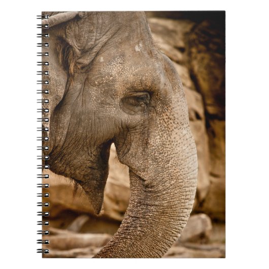 CARNET ÉLÉPHANT (Devant)
