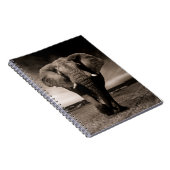 Carnet Eléphant (Côté Droit)