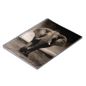 Carnet Eléphant (Côté gauche)