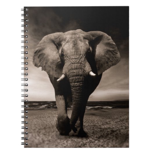 Carnet Eléphant (Devant)