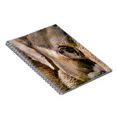 CARNET ÉLÉPHANT (Côté Droit)