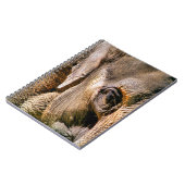 CARNET ÉLÉPHANT (Côté gauche)