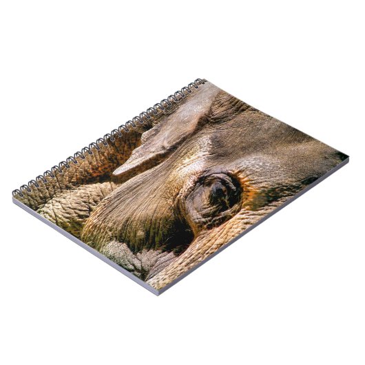 CARNET ÉLÉPHANT (Côté gauche)