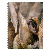 CARNET ÉLÉPHANT (Devant)