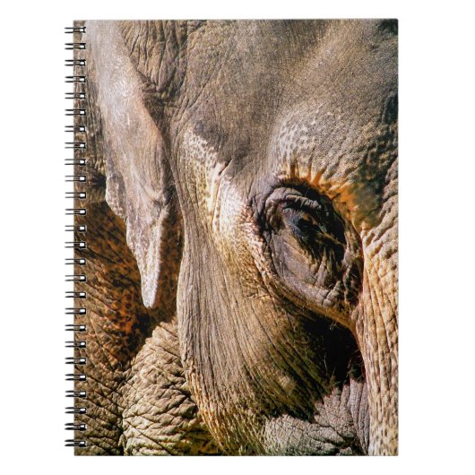 CARNET ÉLÉPHANT (Devant)