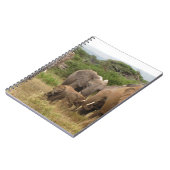 Carnet éléphant (Côté gauche)