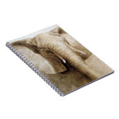 Carnet Éléphant 2004 (Côté Droit)