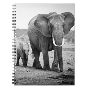 Carnet Éléphant africain et veaux Kenya, Afrique