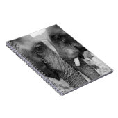 CARNET ELEPHANT COUPLE (Côté Droit)