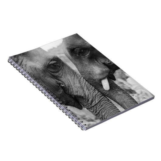 CARNET ELEPHANT COUPLE (Côté Droit)