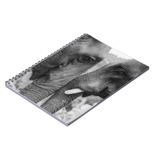 CARNET ELEPHANT COUPLE (Côté gauche)