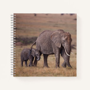 Carnet Éléphant d'Afrique avec bébé