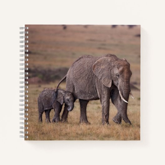 Carnet Éléphant d'Afrique avec bébé (Devant)