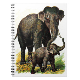 Carnet Éléphant de mère avec le veau