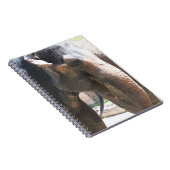 Carnet Elephant face (Côté Droit)
