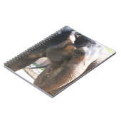 Carnet Elephant face (Côté gauche)