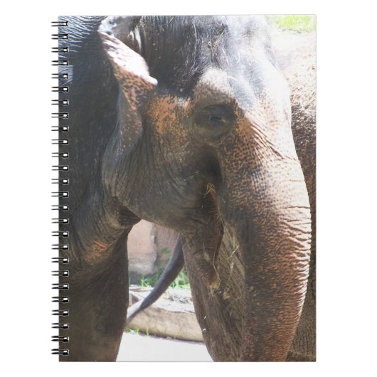 Carnet Elephant face (Devant)