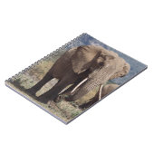 Carnet Éléphant mère marchant avec un éléphant jeune (Côté gauche)