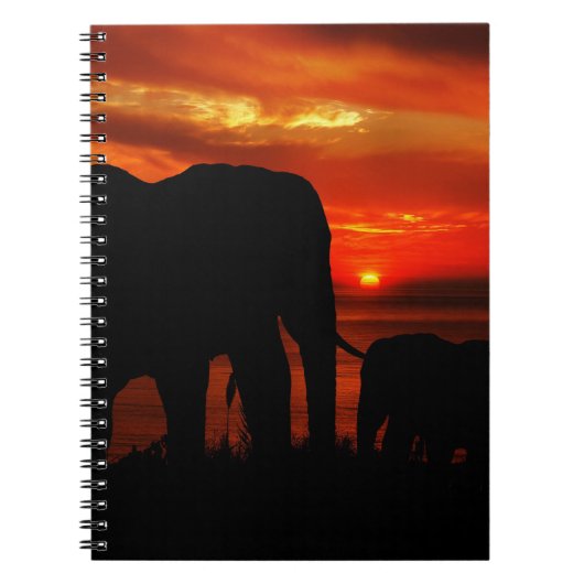 Carnet Éléphants au coucher du soleil (Devant)