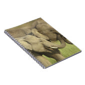 Carnet Éléphants d'Asie indiens (Côté Droit)