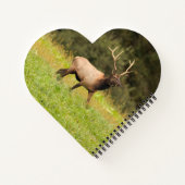 Carnet Elk (Dos)