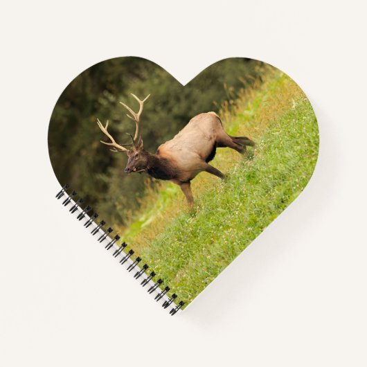 Carnet Elk (Devant)