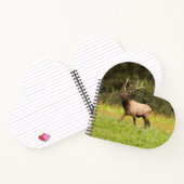 Carnet Elk (Intérieur)