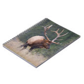 Carnet Elk de montagne Rocky (Côté gauche)