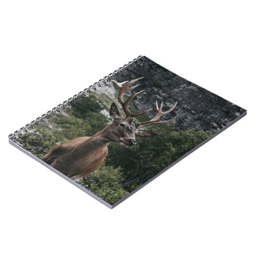 CARNET ELK STACK DEER (Côté gauche)