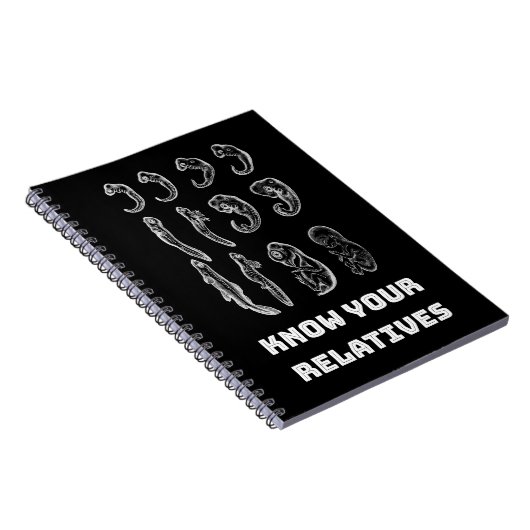 Carnet Embryogenèse de l'évolution (Côté Droit)