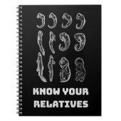 Carnet Embryogenèse de l'évolution (Devant)
