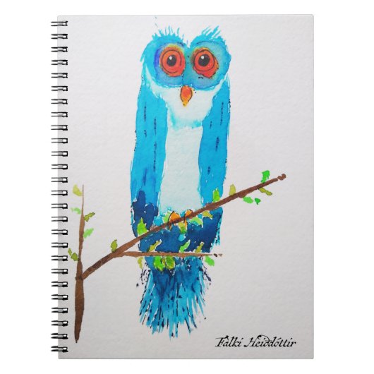 Carnet Emmet le hibou (Devant)