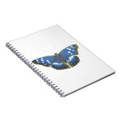 Carnet Empereur pourpre 2012 (Côté Droit)