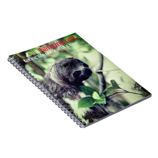 Carnet Emplacement dans l'arbre photo (Côté Droit)