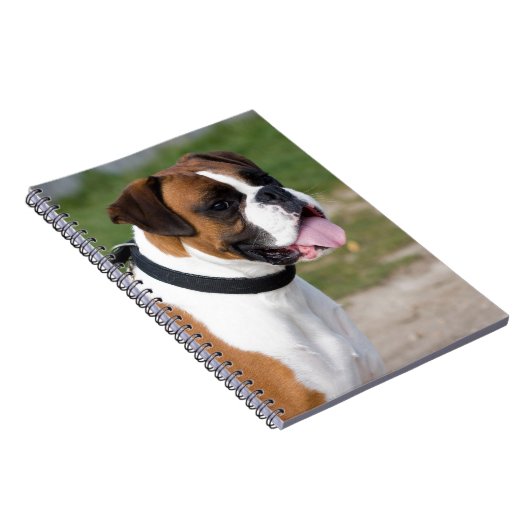 Carnet Emplacement de la boîte (Côté Droit)